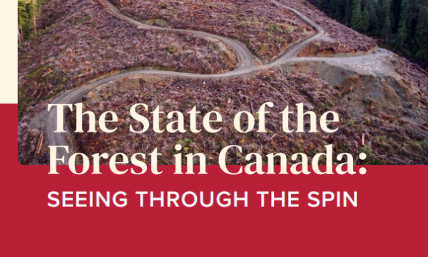 Cover page of report