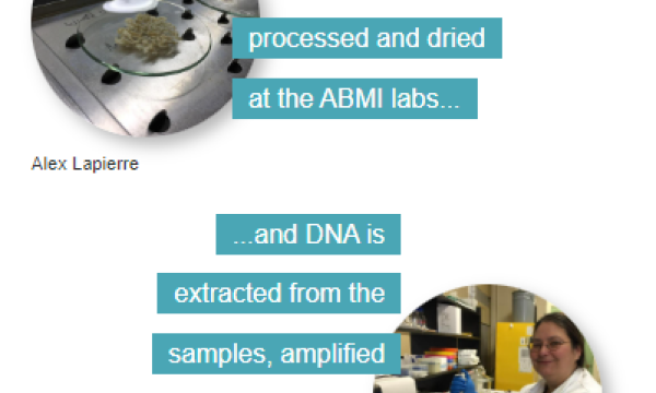 ABMI e-DNA