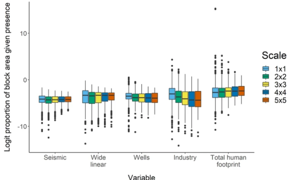 Effect of disturbance type and scale