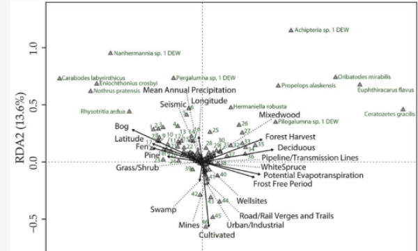 Oil sands mite distribution factors
