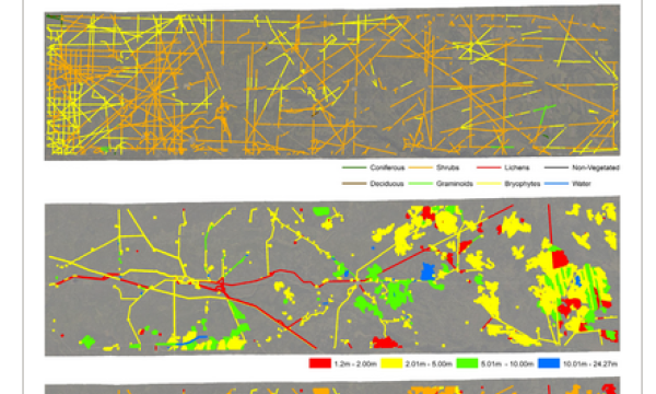Vegetation recovery on seismic lines