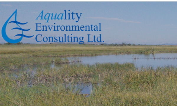 Aquality Wetland Classification Course