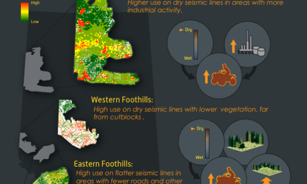 Motorized Activity on Legacy Seismic Lines Infographic