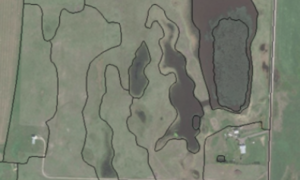 SALMTEC Wetland Delineation Seminar