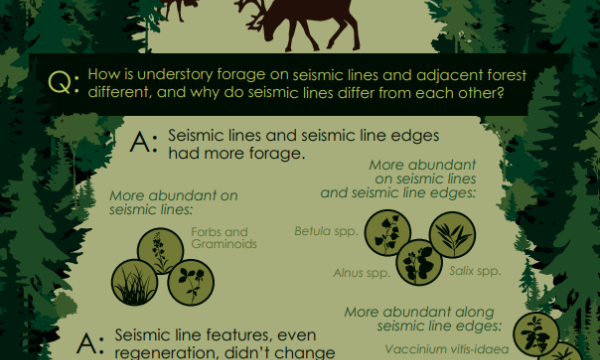 Understory forage infographic