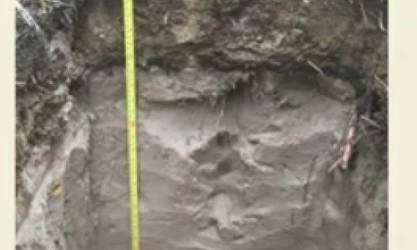 Anthroposol soil profile