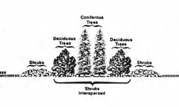 Cascade Landfill revegetation plan