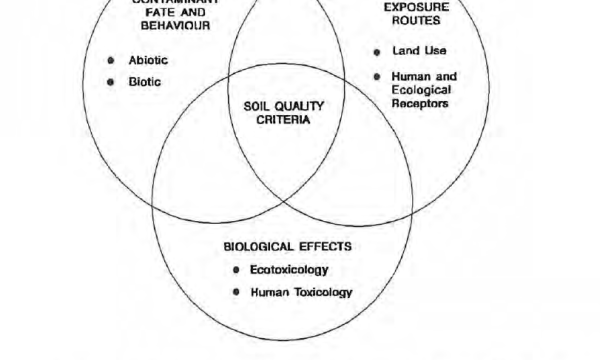 Contamination soil quality criteria