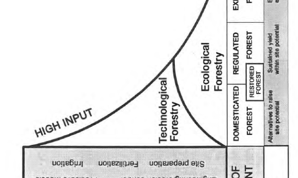 Forest research needs