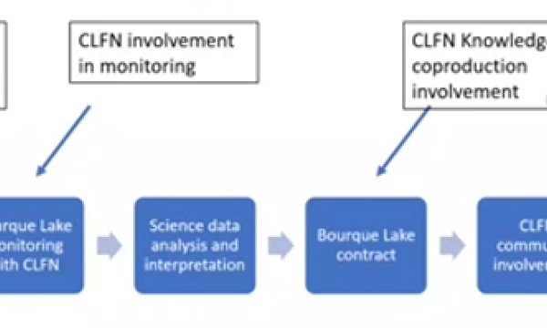 Knowledge co-production process