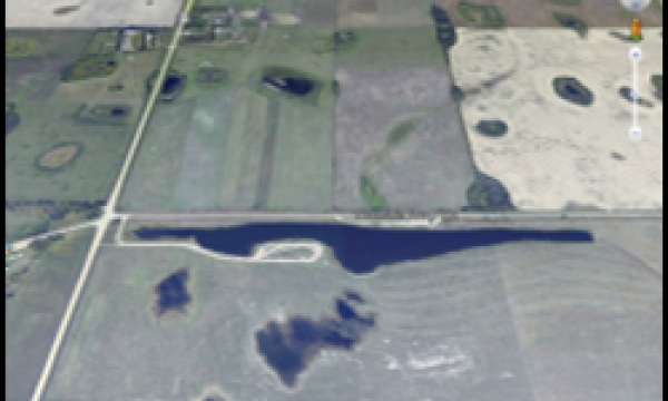 Reclaimed land at Diplomat Mine