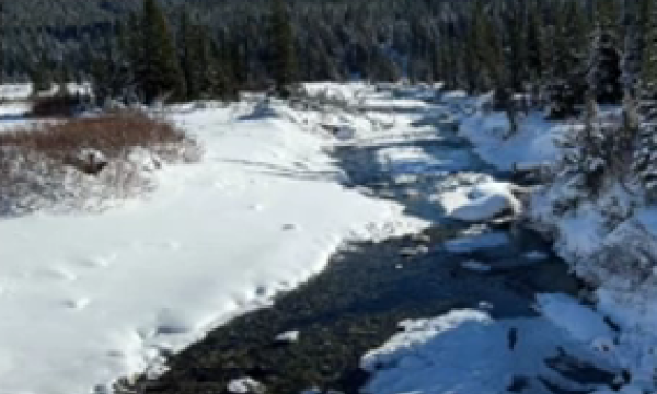 Headwaters stream