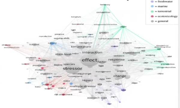 Stress - Effect Model