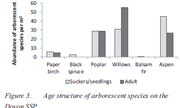 Tree and shrub occurrence