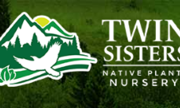 Twin Sisters Nursery logo