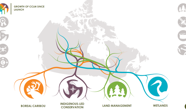 map of canada showing colourful roots interlocking overtop