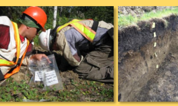 Paragon Soil Classification Course