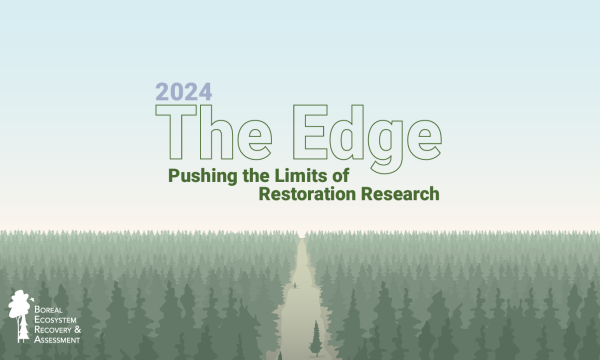 The Edge: the BERA Program 2024 synthesis report