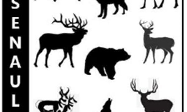 Canadian megafauna silhouetted with Arsenault Wildlife Services text