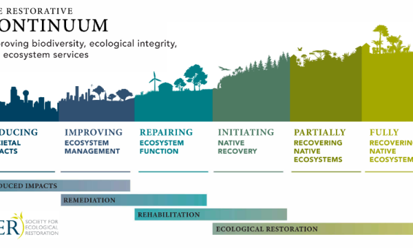 SER Restoration Continuum