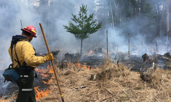 SER Prescribed Fire webinar