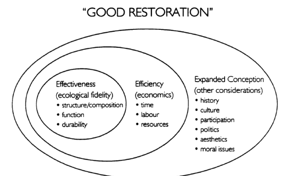 An expanded definition of good restoration