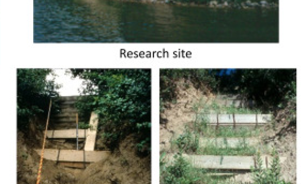 Bioengineering for slope stabilization