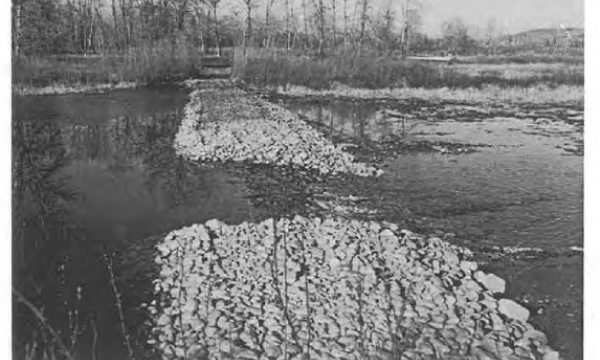 Bow River Back Channel Drop Structure