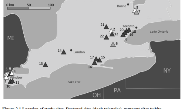 Cray thesis study sites
