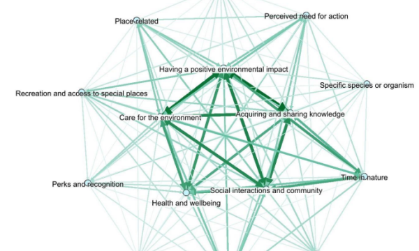 Motives for engaging in restoration