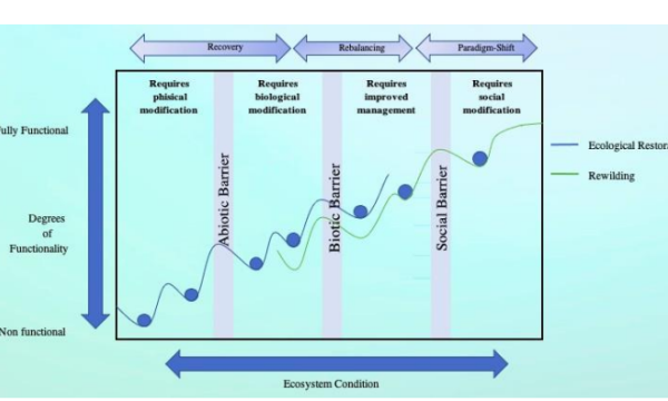 Restoration vs. rewilding