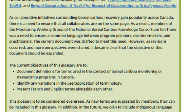 Cover page screenshot