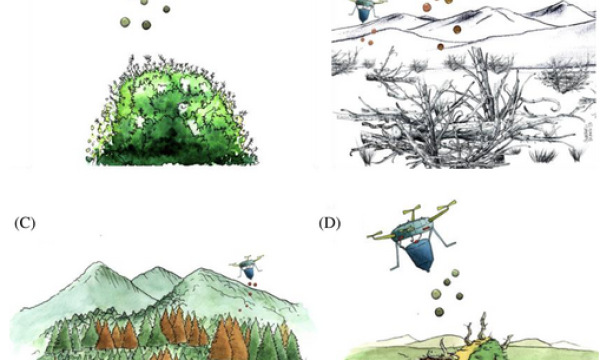 Drone seeding examples