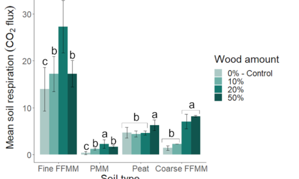 Effects of wood amount on microbial respiration
