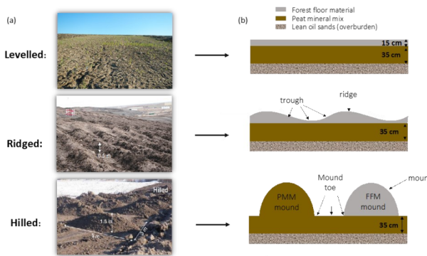 Three microsite types