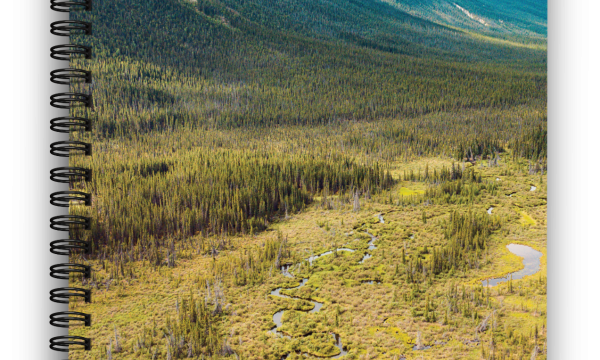 Yukon Wetland Field Guide Cover