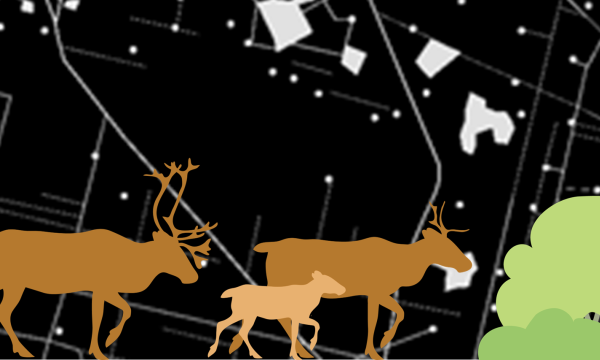 Graphical images of three caribou walking in front of a map depicting anthropogenic disturbance.