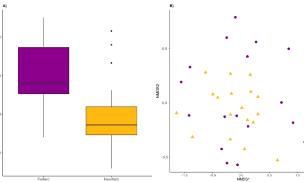 Diversity of benthic invertebrates