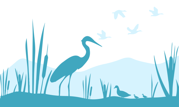 CCLM Wetlands placeholder