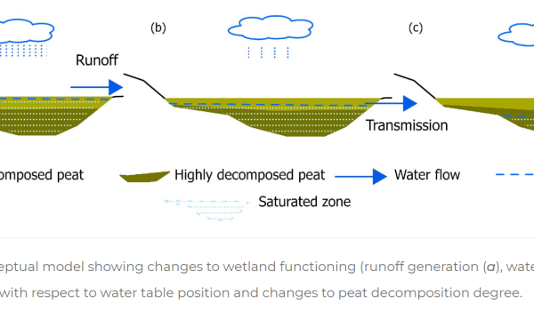 changes to wetland functioning