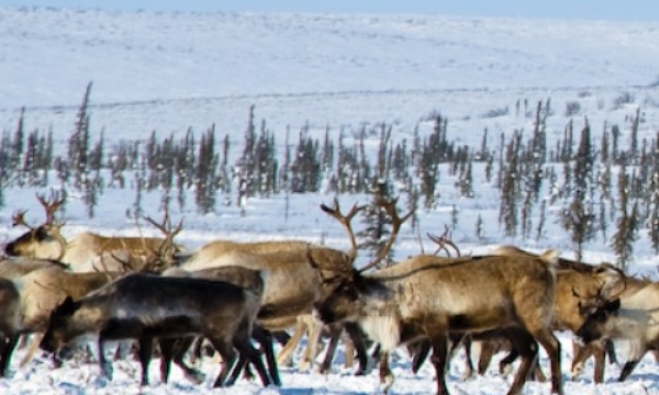 Community KnowledgeKeeper