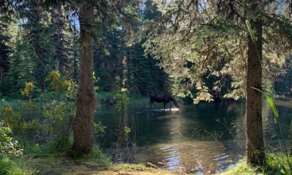 Groundwater-dependent wetlands