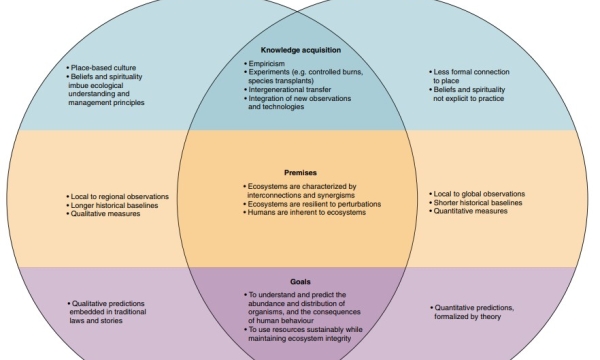 Intersection of Indigenous knowledge and ecology