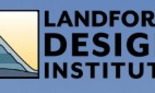 LDI Logo