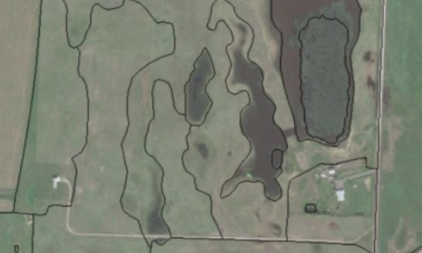 SALMTEC Wetland Delineation Course