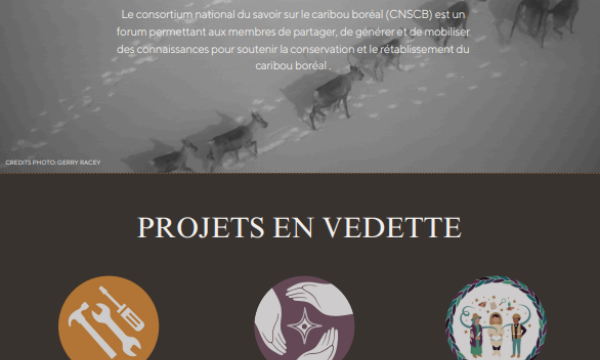 Newsletter cover page