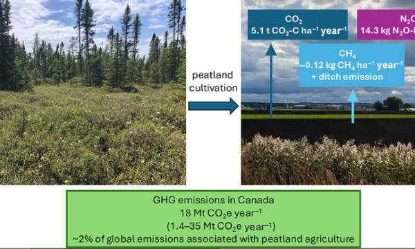 Drained Peatland Agriculture Emissions