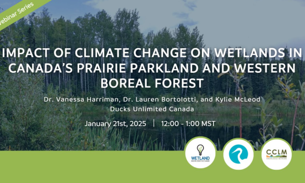 Impact of Climate Change on Wetlands in Canada's Prairie Parkland and Western Boreal Forest