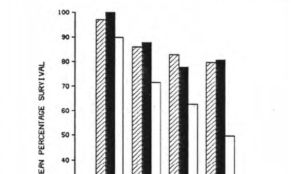 Judy Creek tree survival