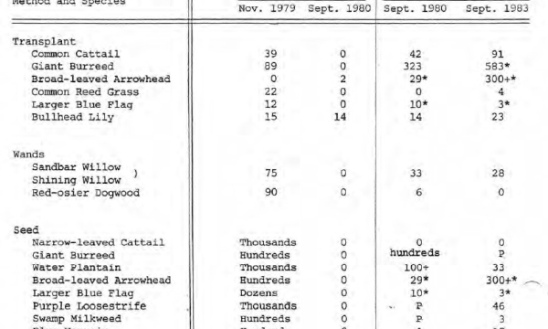 Marsh revegetation species